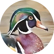Wood Duck Products