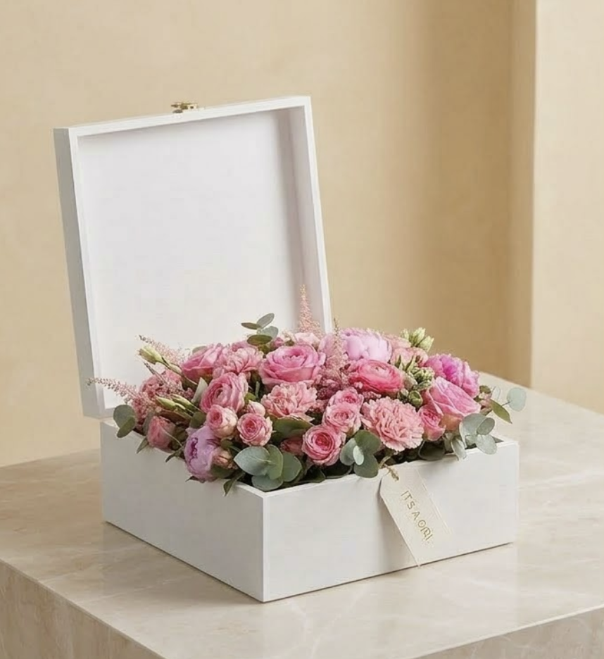 Screenshot 2026-03-10 at 3.49.45 PM.png