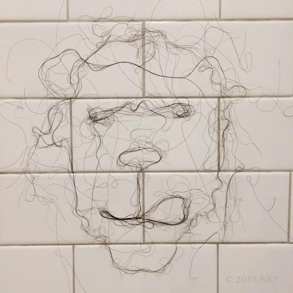 I saw a lion this day in the shower,                    "Leo the Lion" 