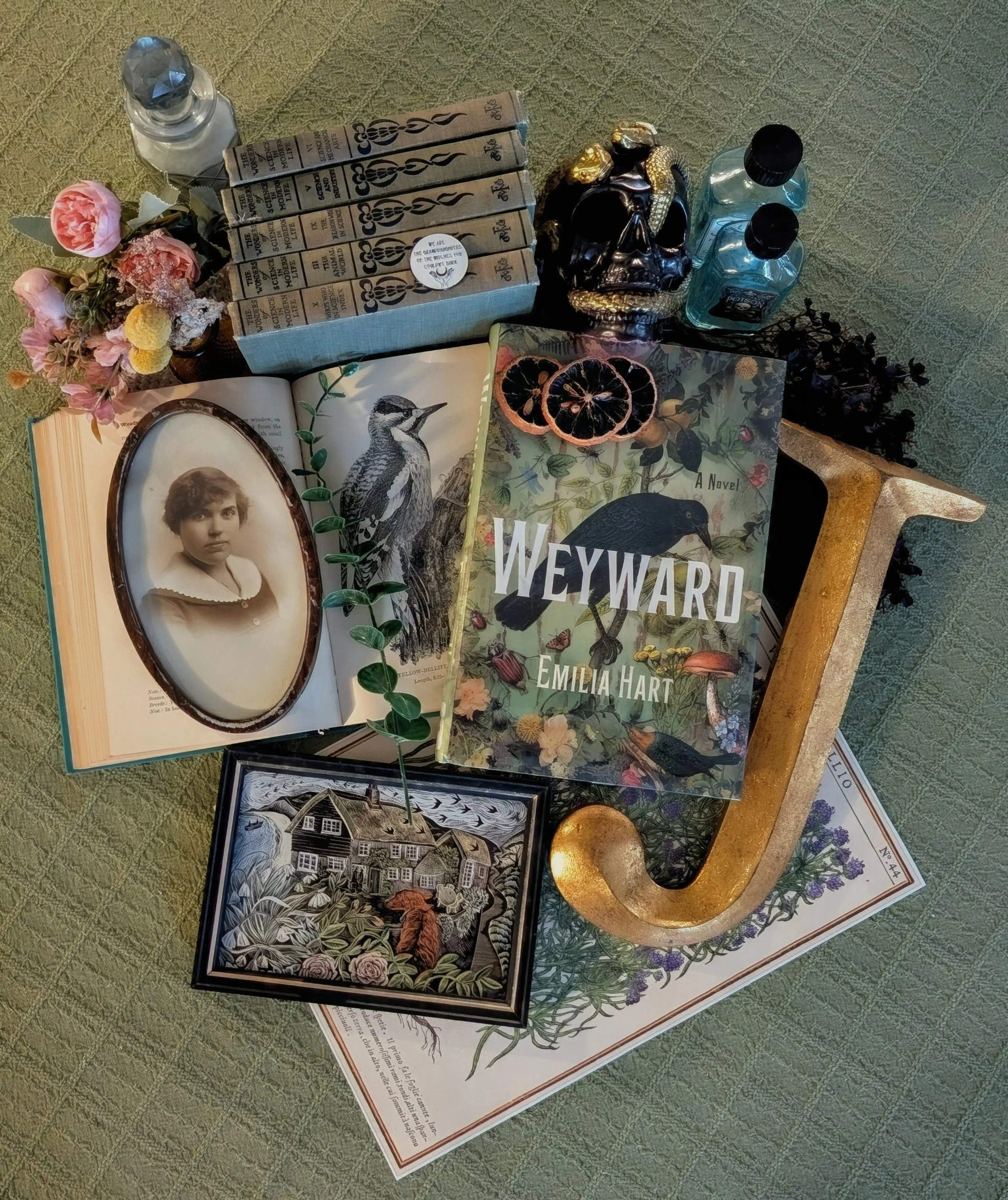 Book Review: Weyward, by Emilia Hart