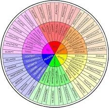 Color wheel depicting various emotional states and qualities, with sections labeled to indicate different feelings and traits.