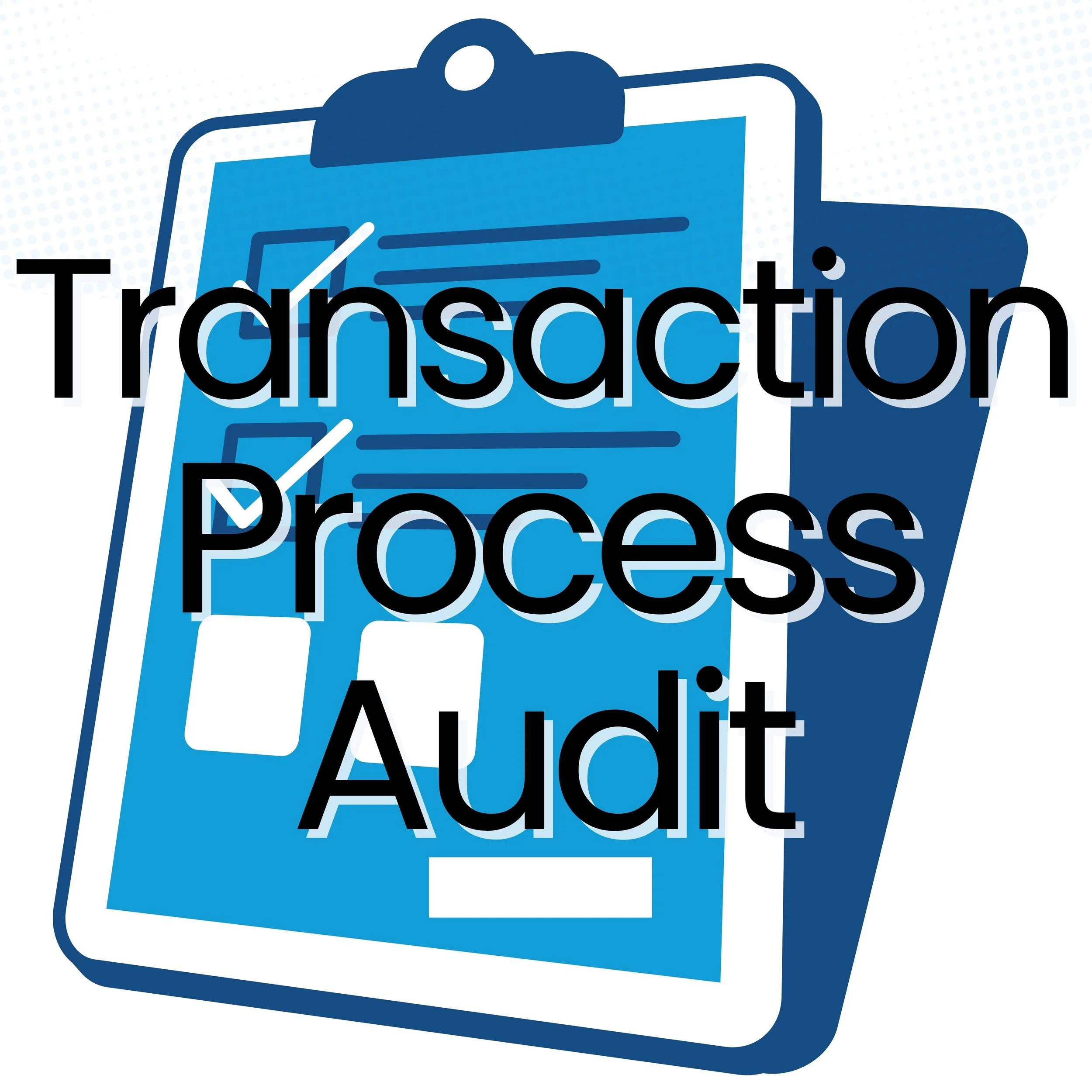 Transaction Process Audit