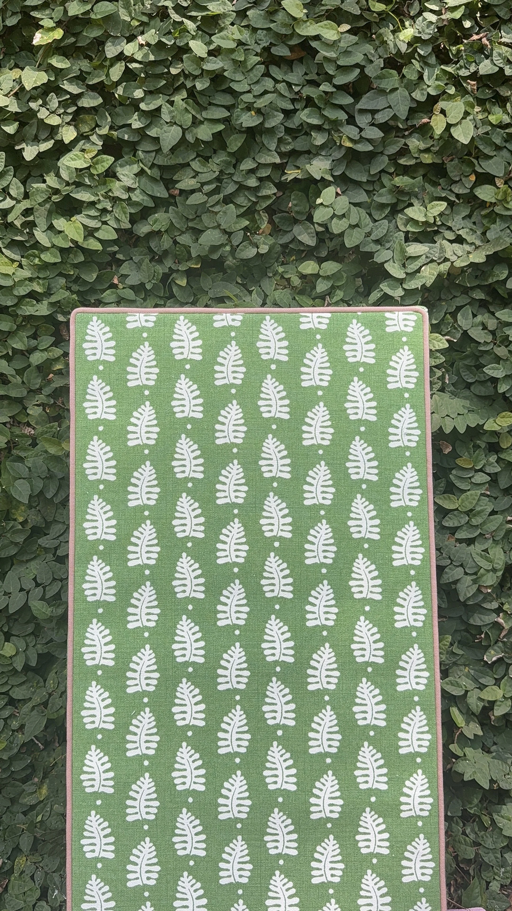 Mini Fern