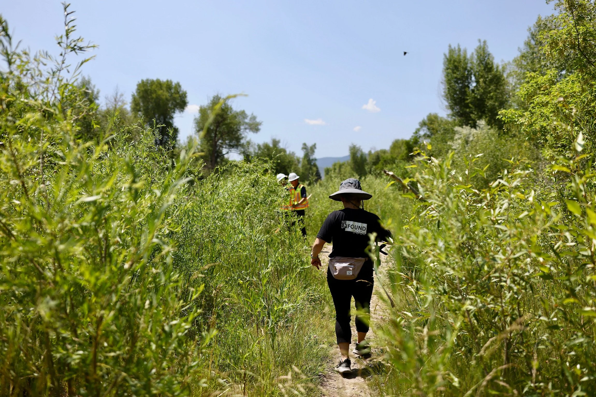 A person in black clothing with a wide-brimmed hat walking along a trail through tall green vegetation, with two other people in safety vests and helmets further ahead, and a small bird flying in the blue sky.