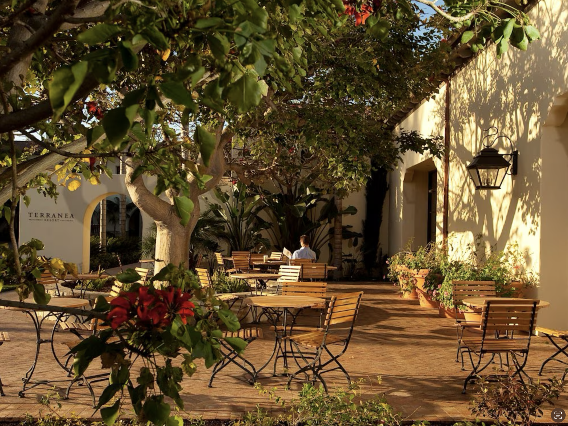 Screenshot 2026-03-08 at 12.07.06 PM.png