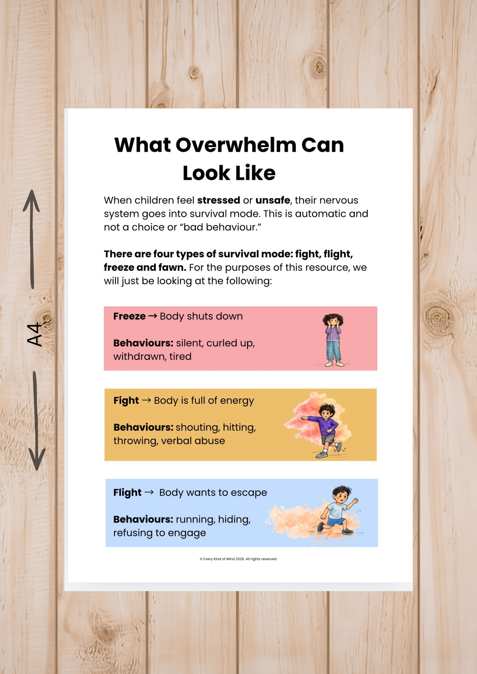 Copy of Photos for Product Description (14).png