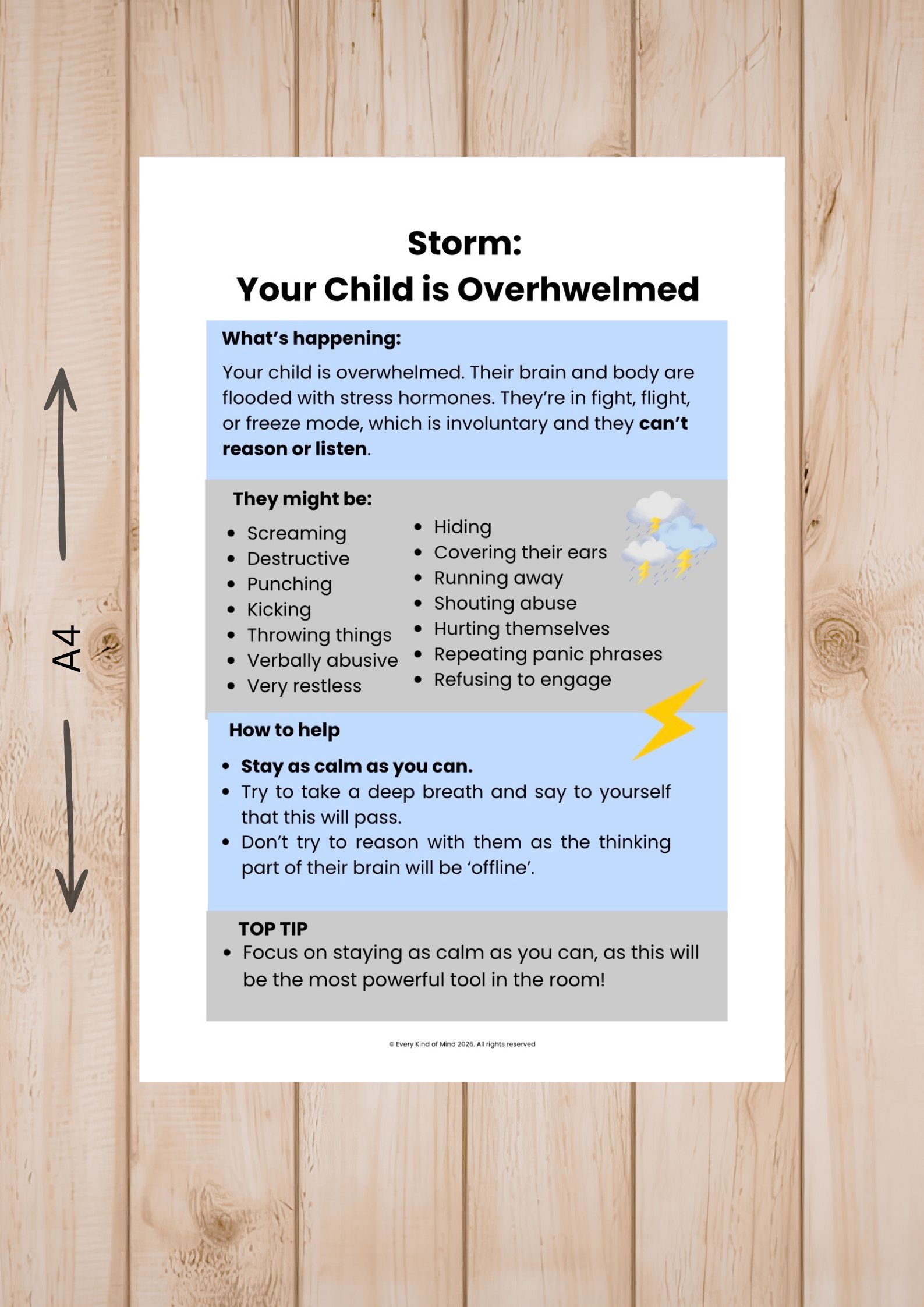 Copy of Photos for Product Description (12).png