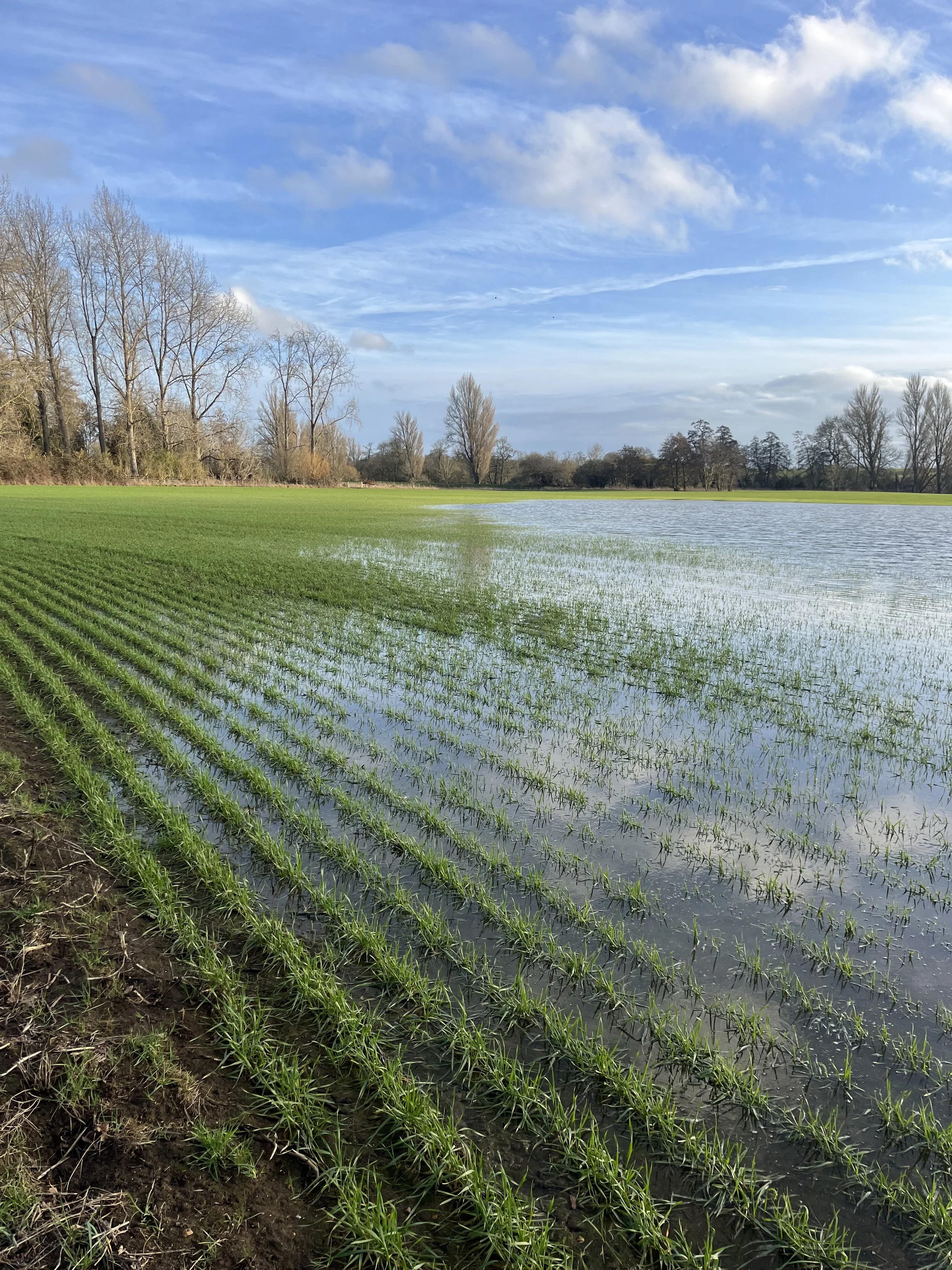 Walking Coaching in Rural Buckinghamshire
