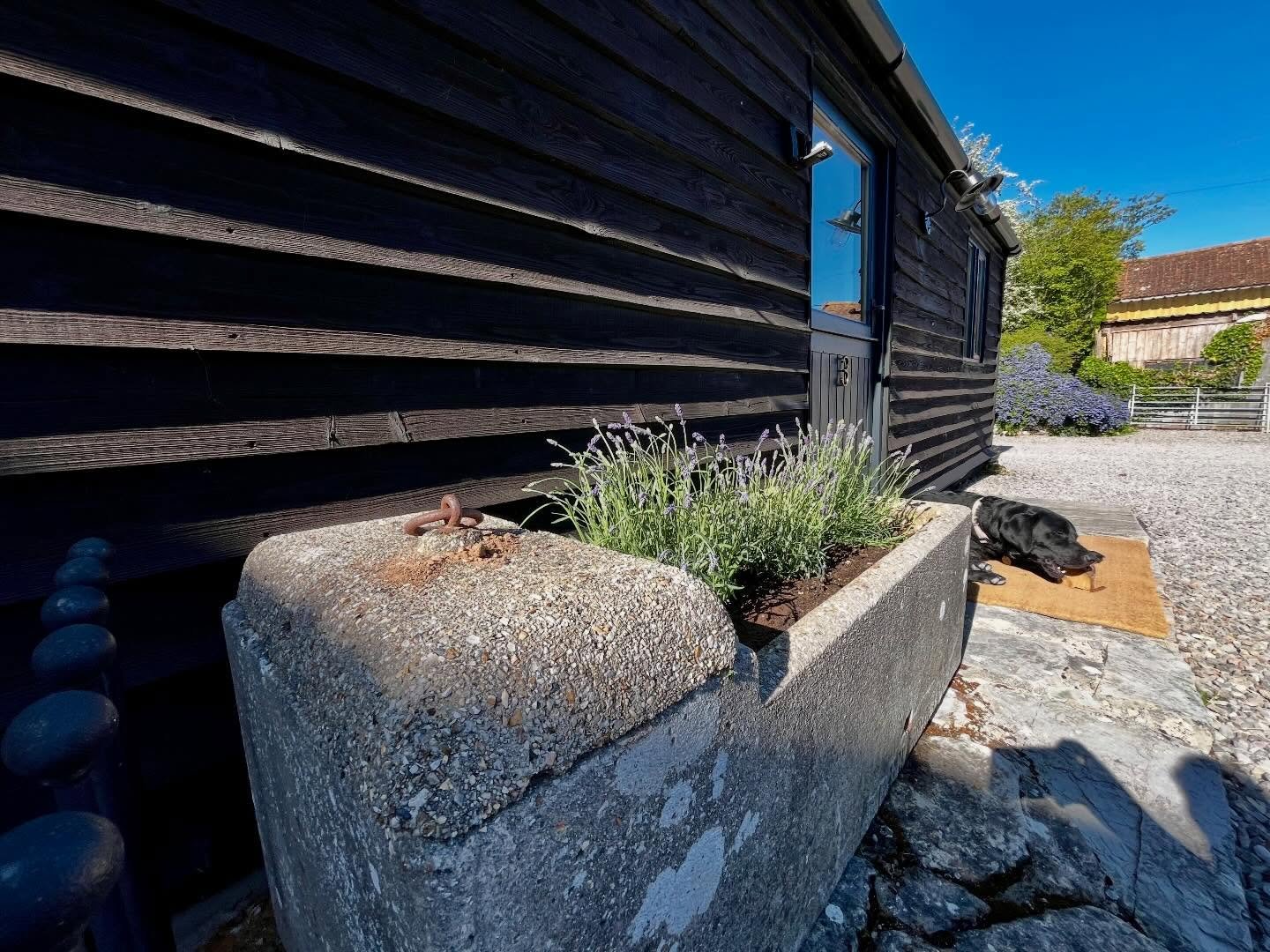 Just add lavender&hellip; I&rsquo;m very happy to find a use for our very old water feeders.