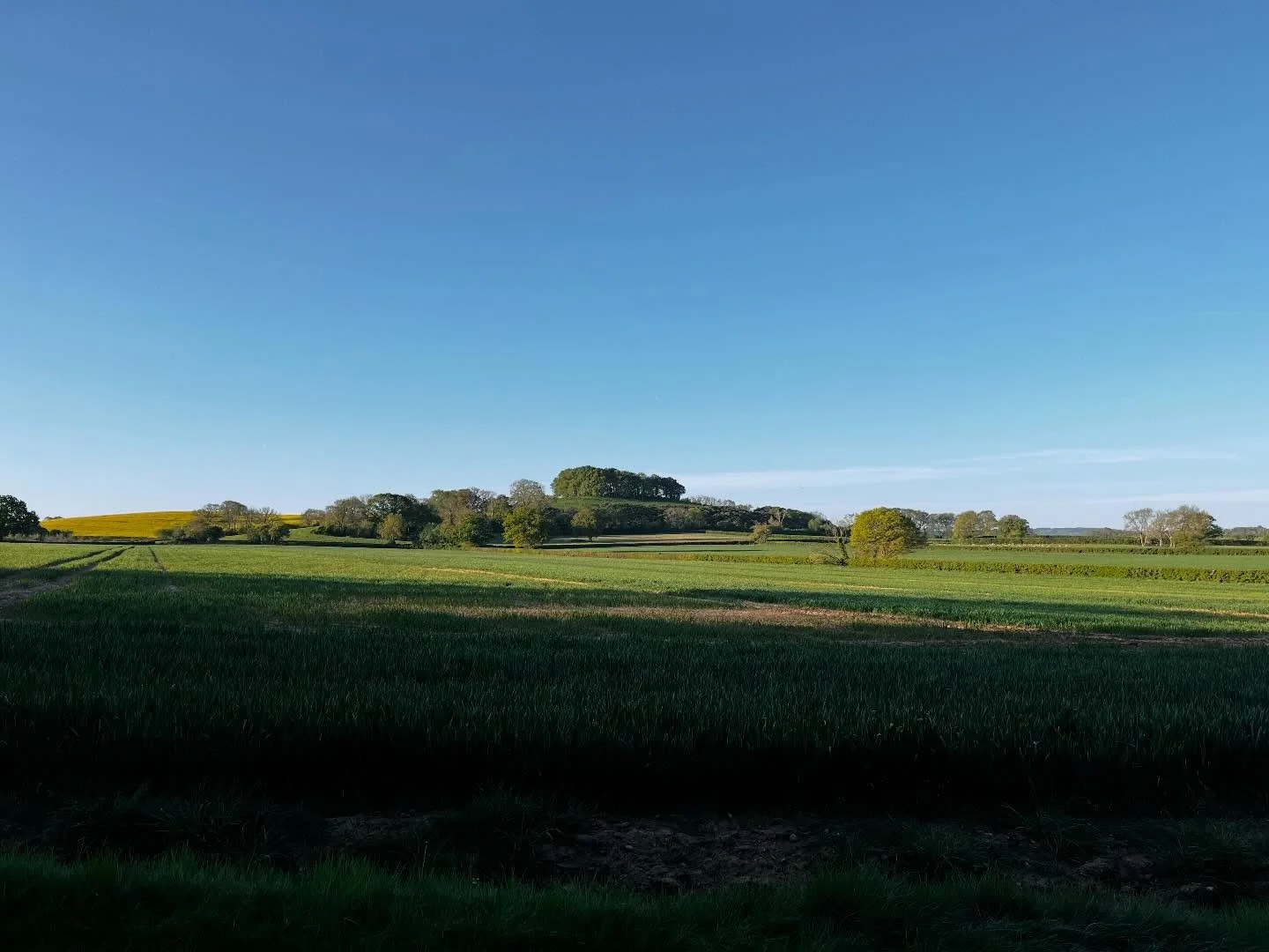 Acres of blue and green.
Two of our rooms are dog friendly. Come explore with them. Stay@theroomsatlowerfarm.com