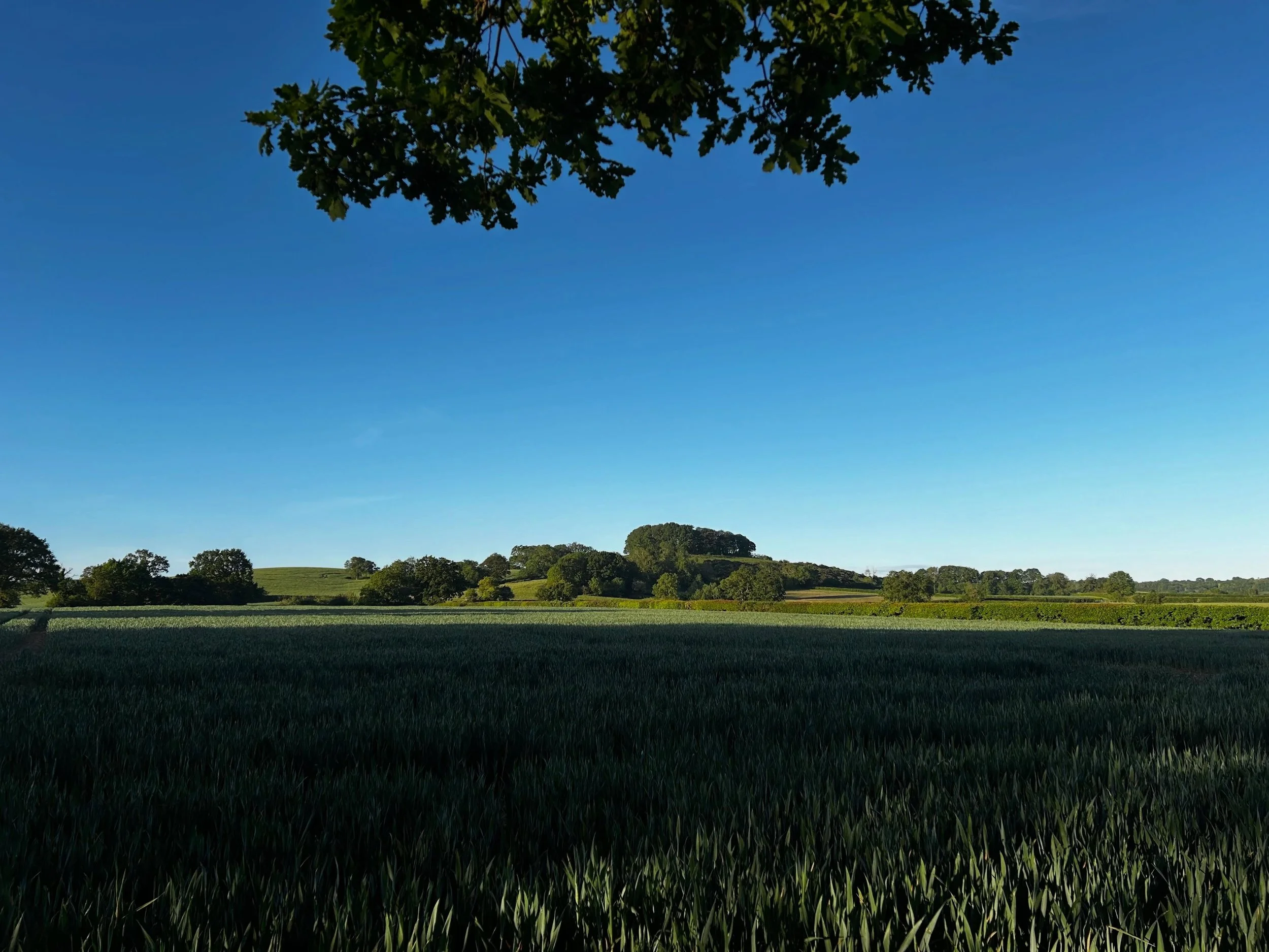 Little slice of heaven. stay@theroomsatlowerfarm.co.uk