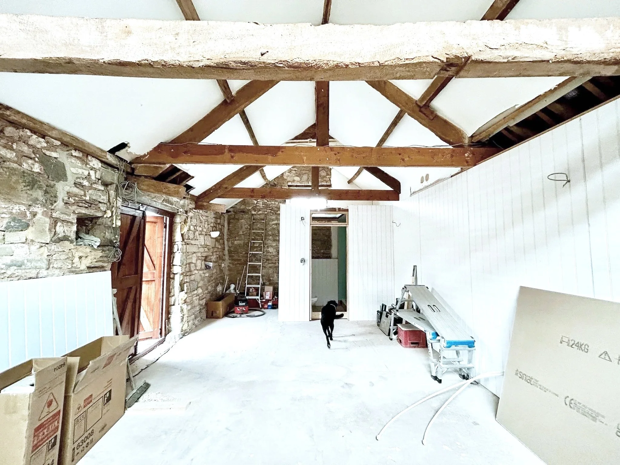 A room under renovation with exposed brick and wooden beams on the ceiling. Construction materials and tools are scattered around, including cardboard boxes, a ladder, and plastic containers. A black dog stands in the middle of the room.