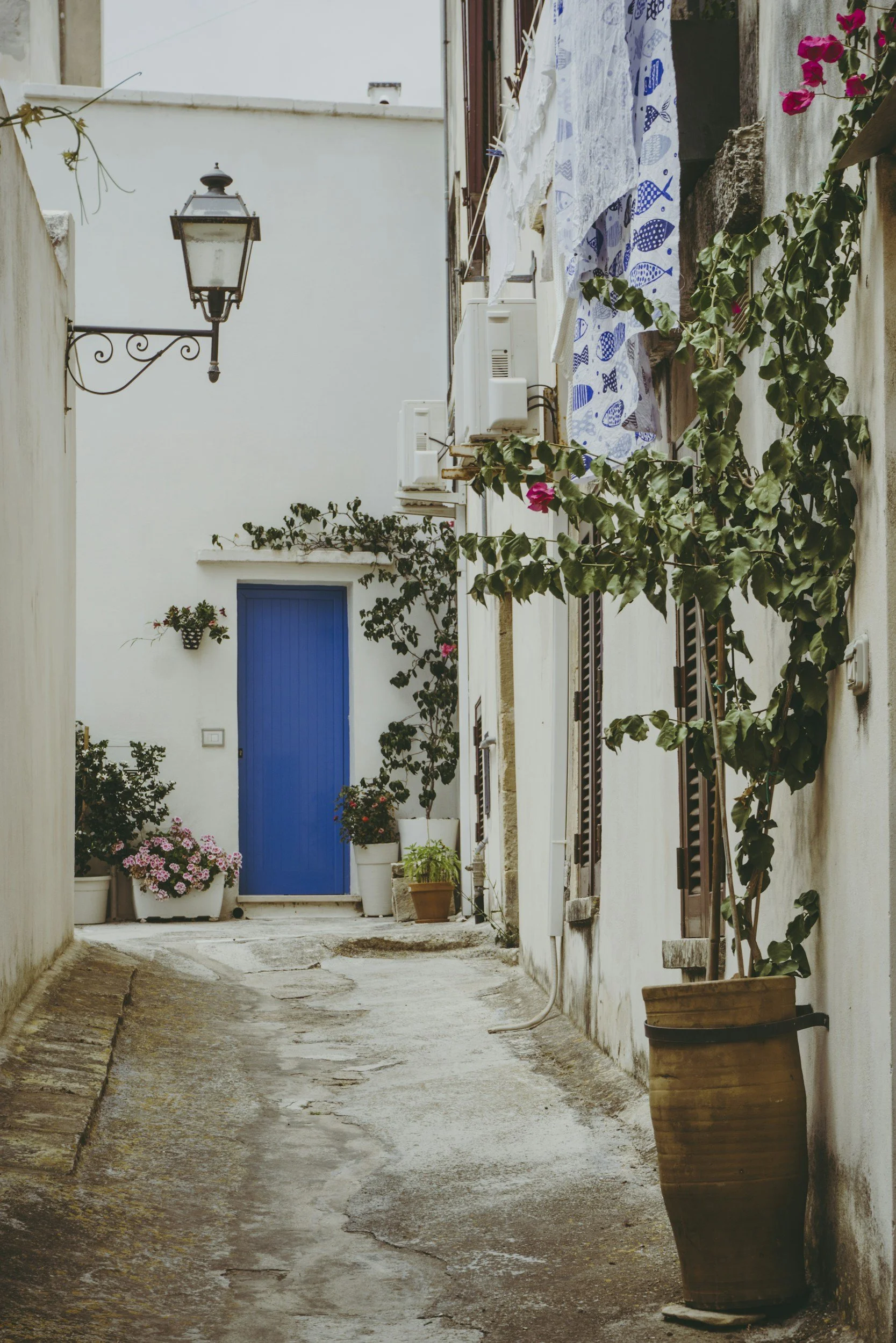 whitewashed traditional street in Puglia