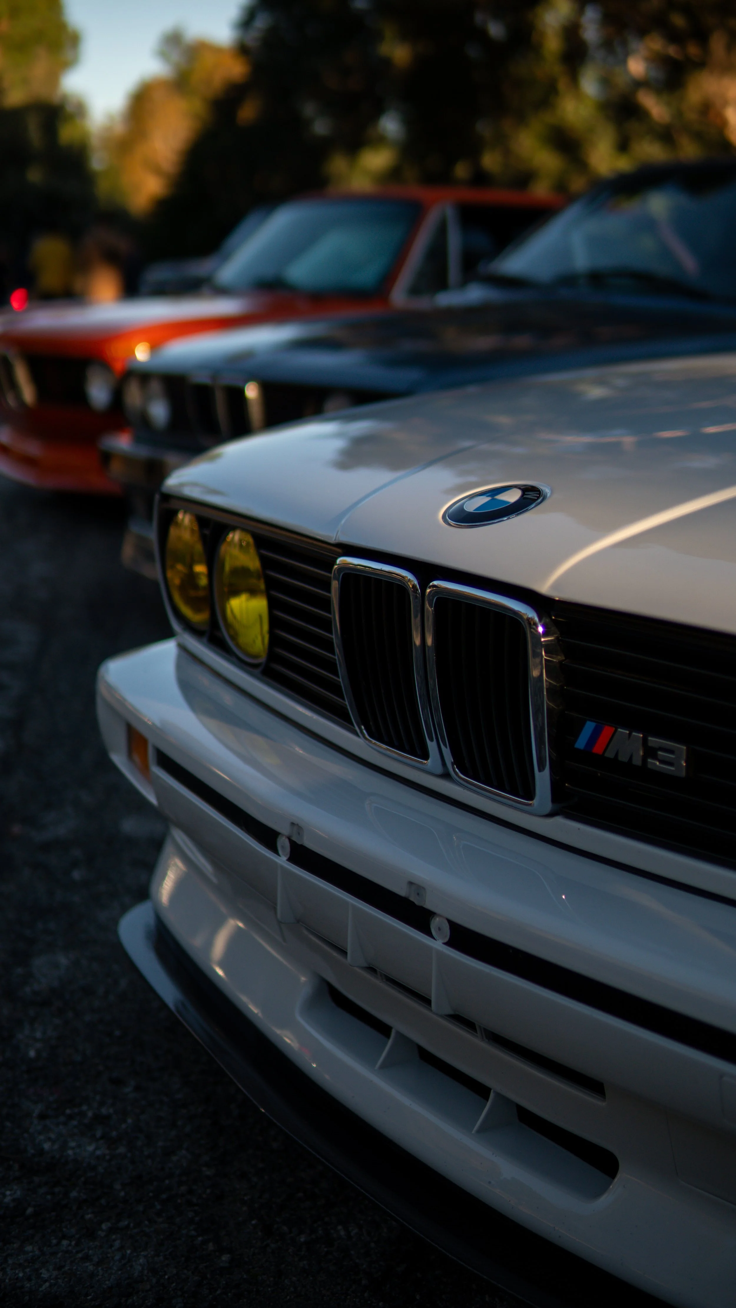 Autos clásicos BMW M3 en una fila al atardecer, con árboles de fondo.