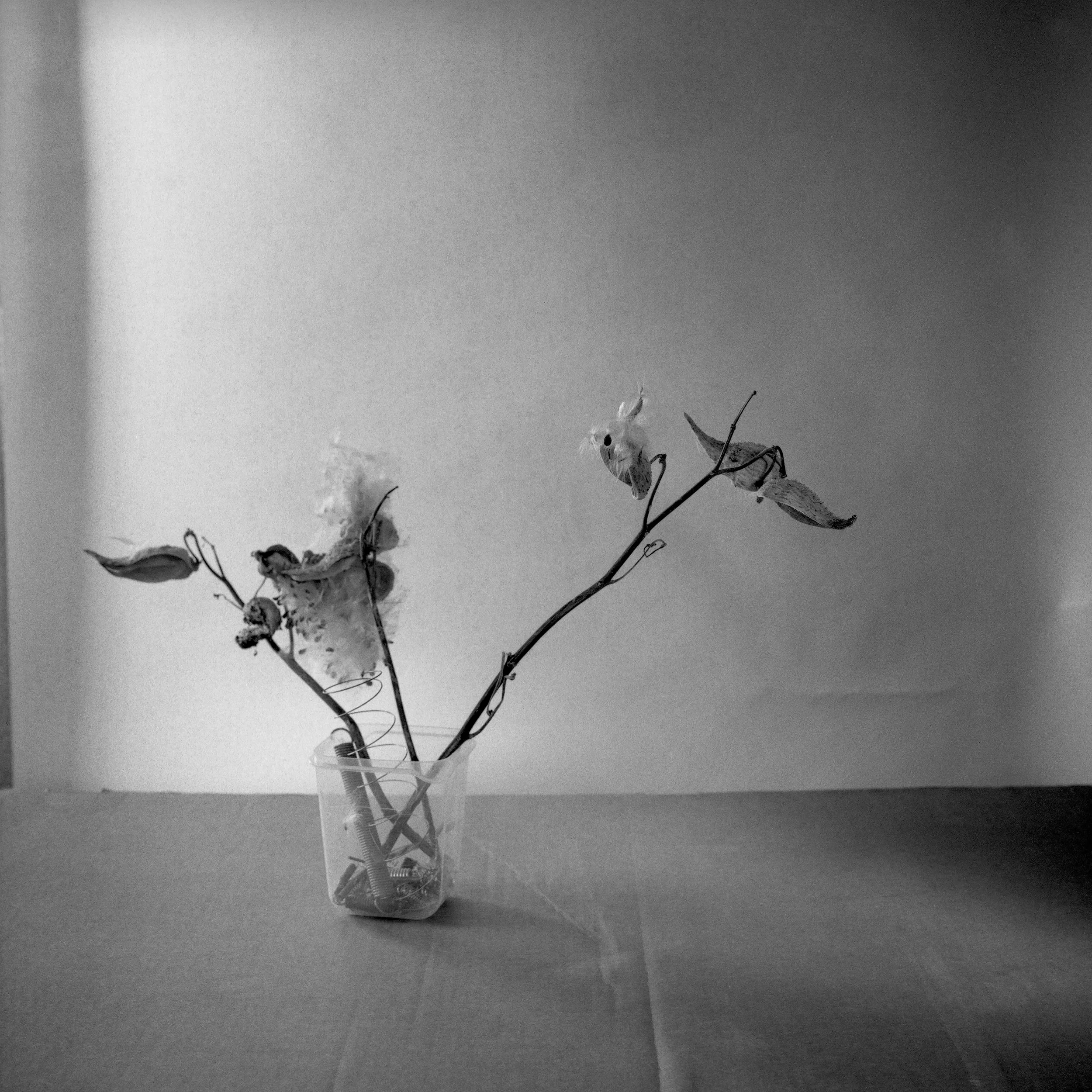 A grayscale image of a small branch with dried leaves fitting into a clear glass container on a flat surface. The background is plain and uniform.