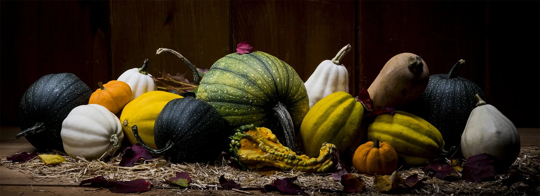 A variety of gourds and pumpkins arranged on a straw-covered surface against a dark background.