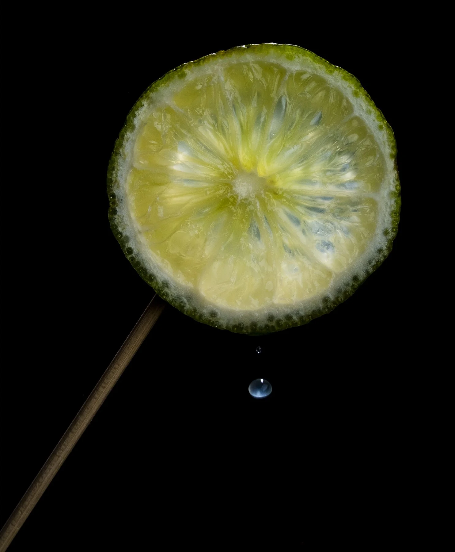 A thin slice of lemon on a stick against a black background, with a water droplet falling from the lemon.