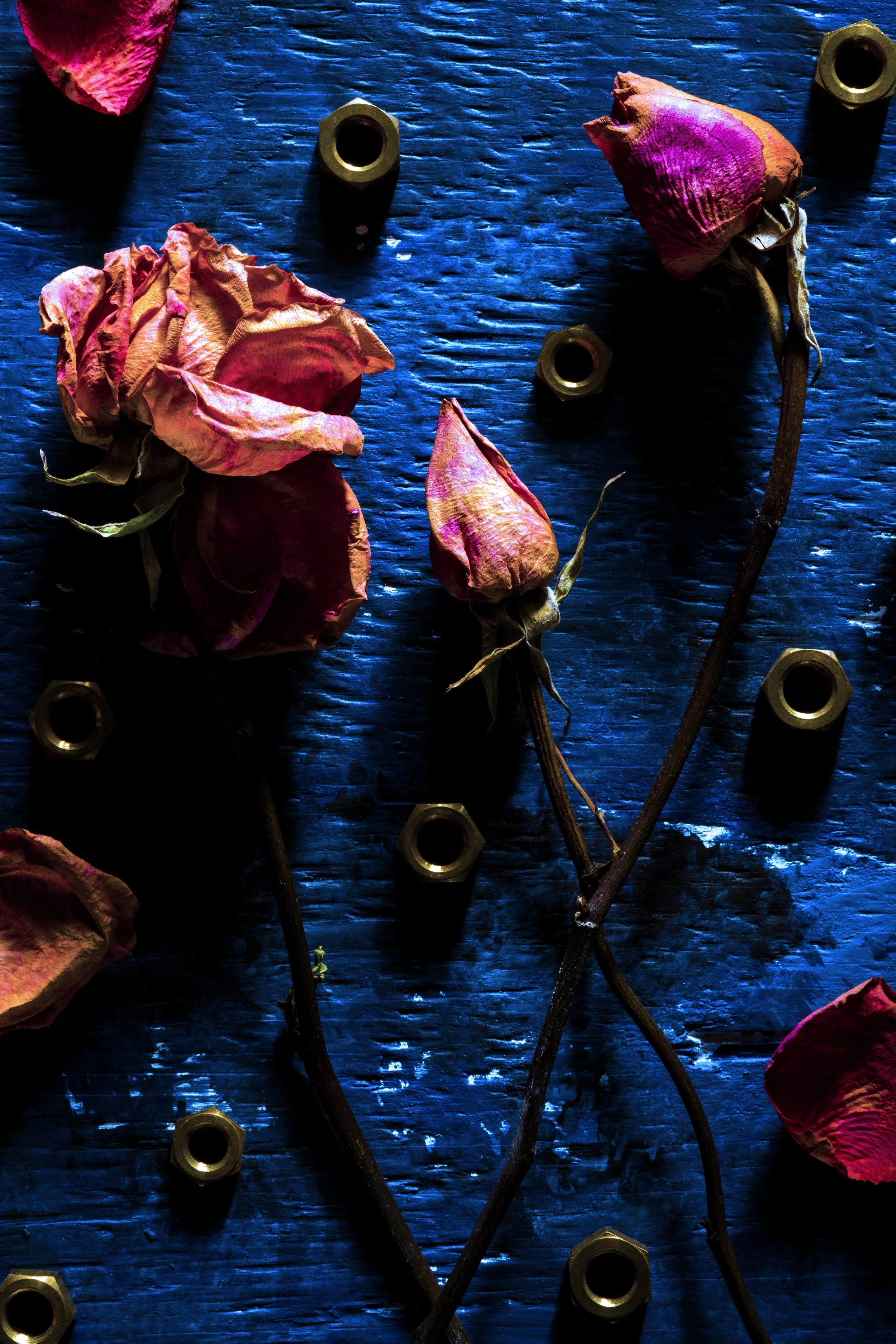 Dried pink and red roses with green stems on a dark blue wooden surface, surrounded by loose metal nuts.