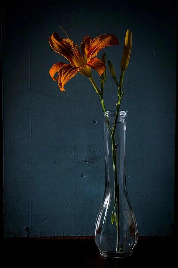 Single orange daylily flower with unopened buds in a tall, clear glass vase against a dark blue wooden background.