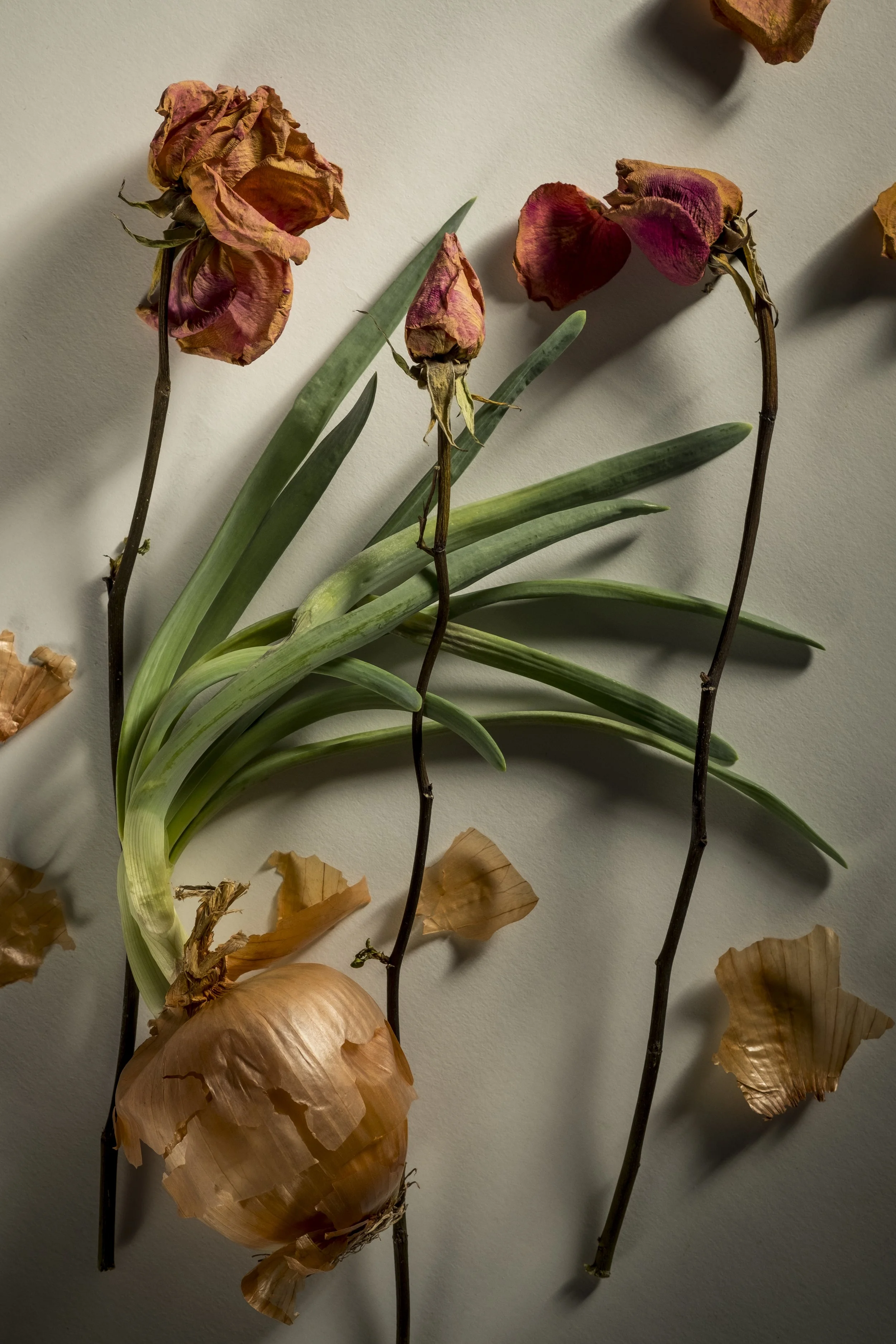 Withered roses, onion, and dry leaves on a light-colored surface.