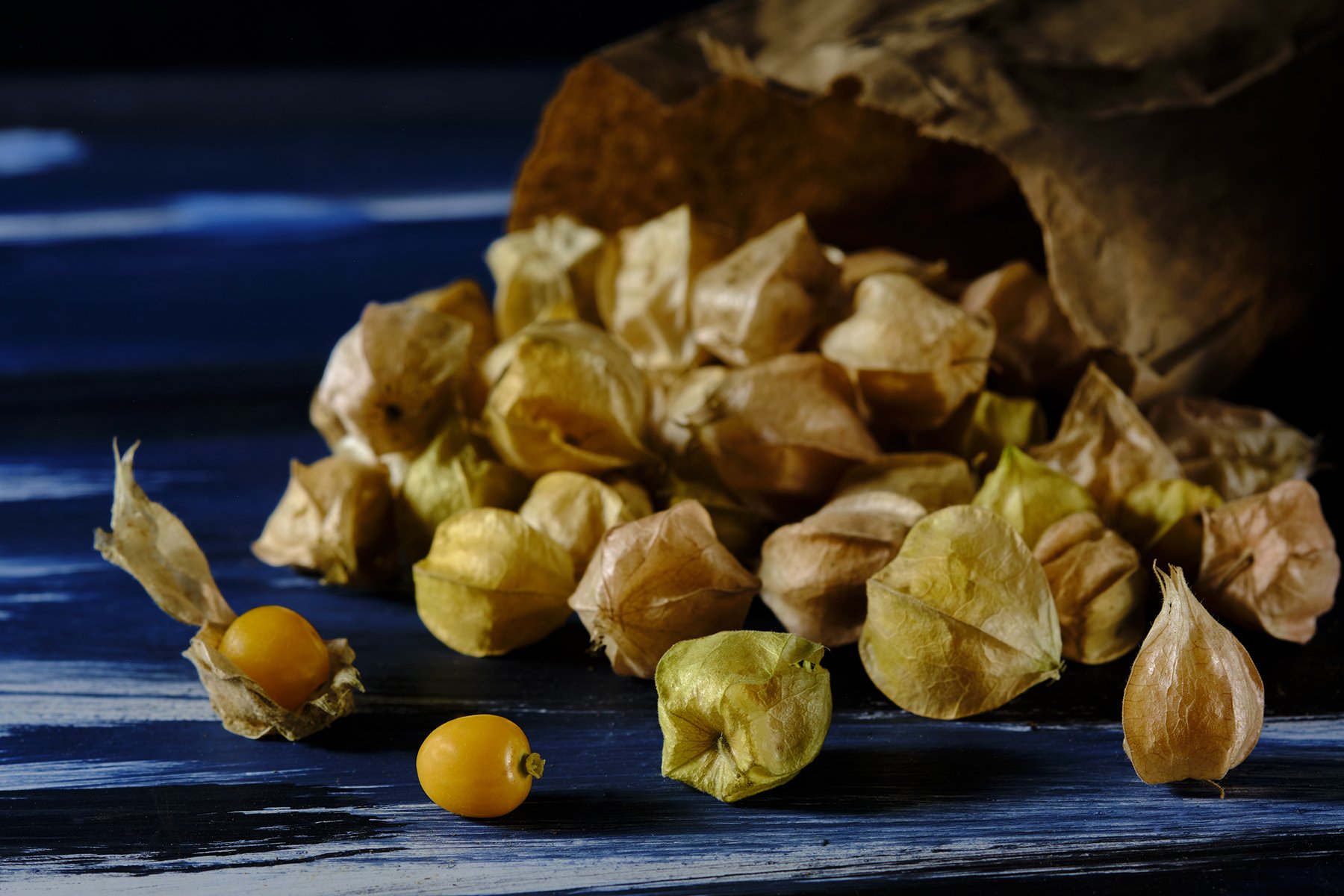 Physalis fruits, also known as cape gooseberries, with husks partially opened, spilling onto dark blue wooden surface.