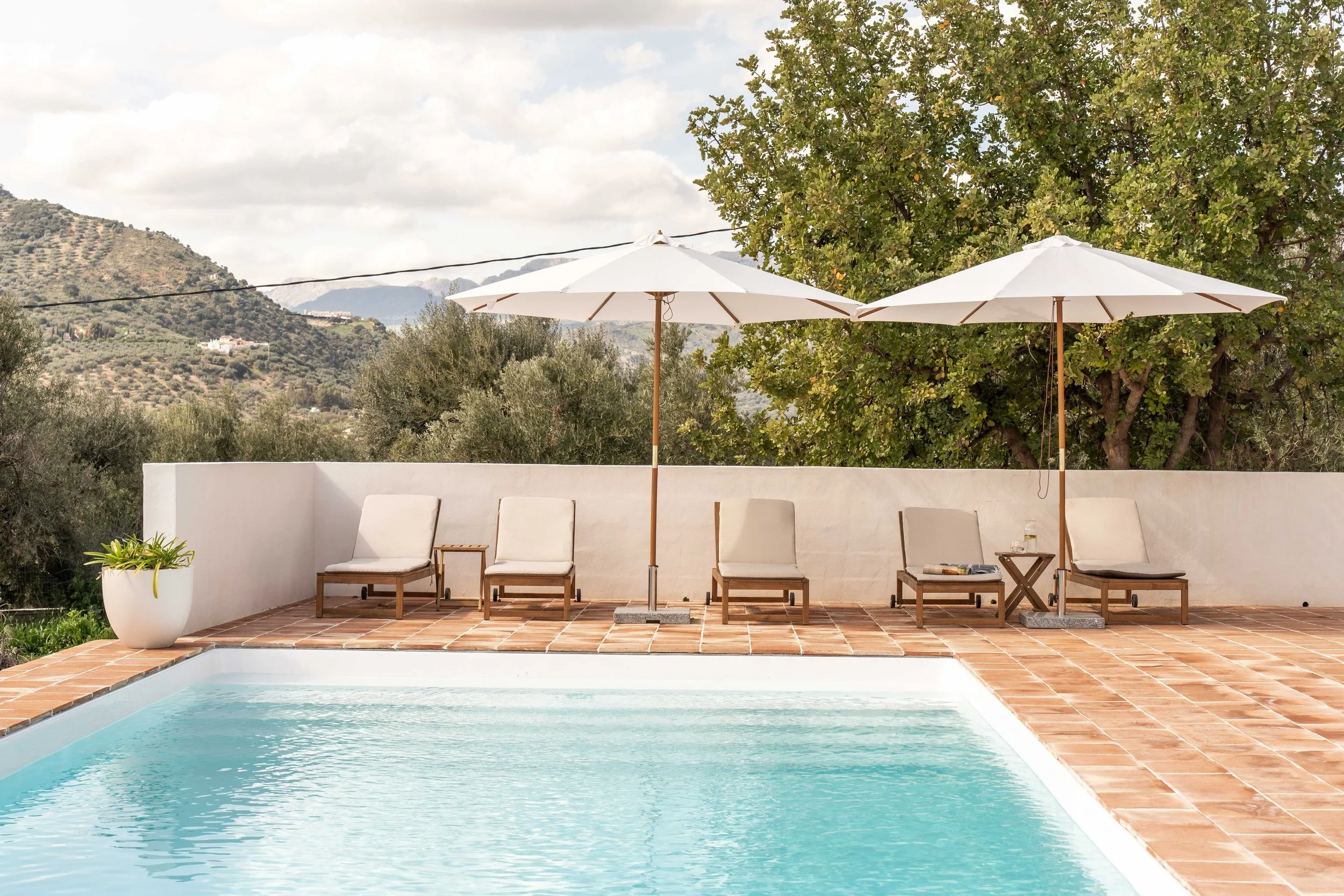 Zwembad met ligbedden