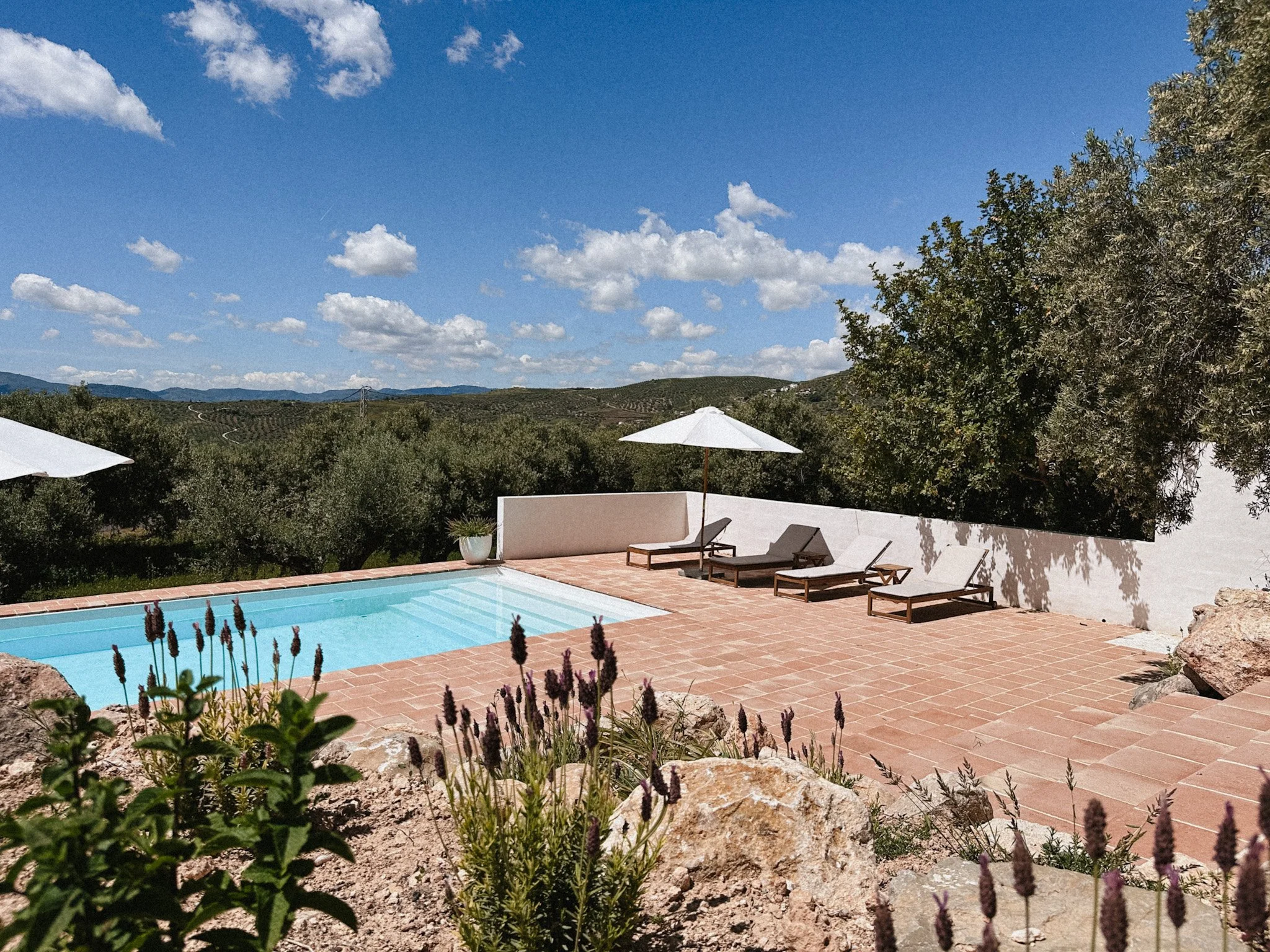 Terras met ligbedden rondom zwembad