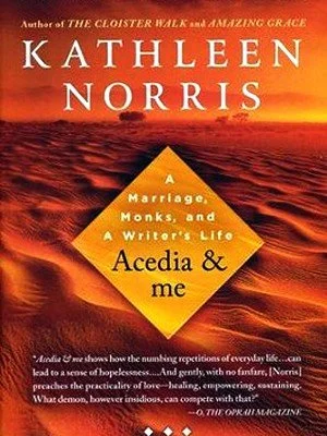 Book cover of 'Acedia & Me' by Kathleen Norris, featuring a desert landscape with a sunset sky.