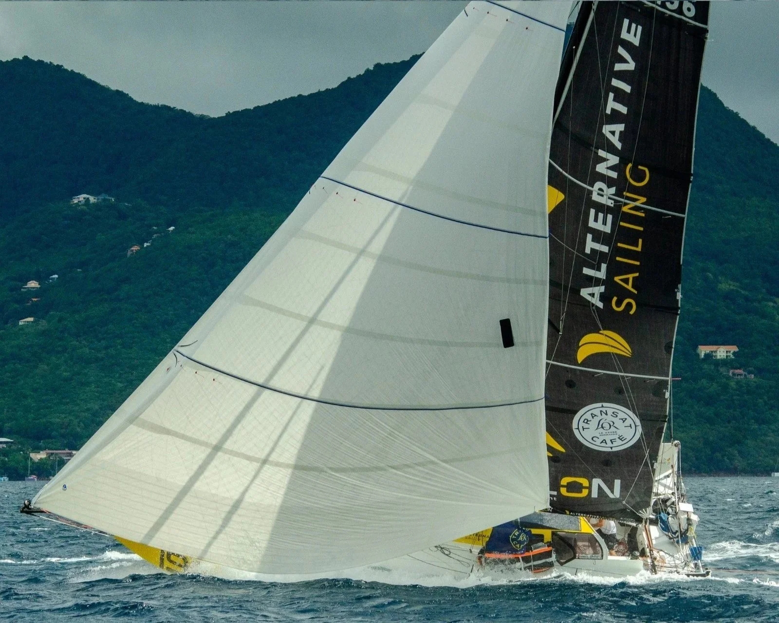 Voile de compétition en mer avec montagnes en arrière-plan, portant les inscriptions 'ALTERNA' et 'SAILING'.