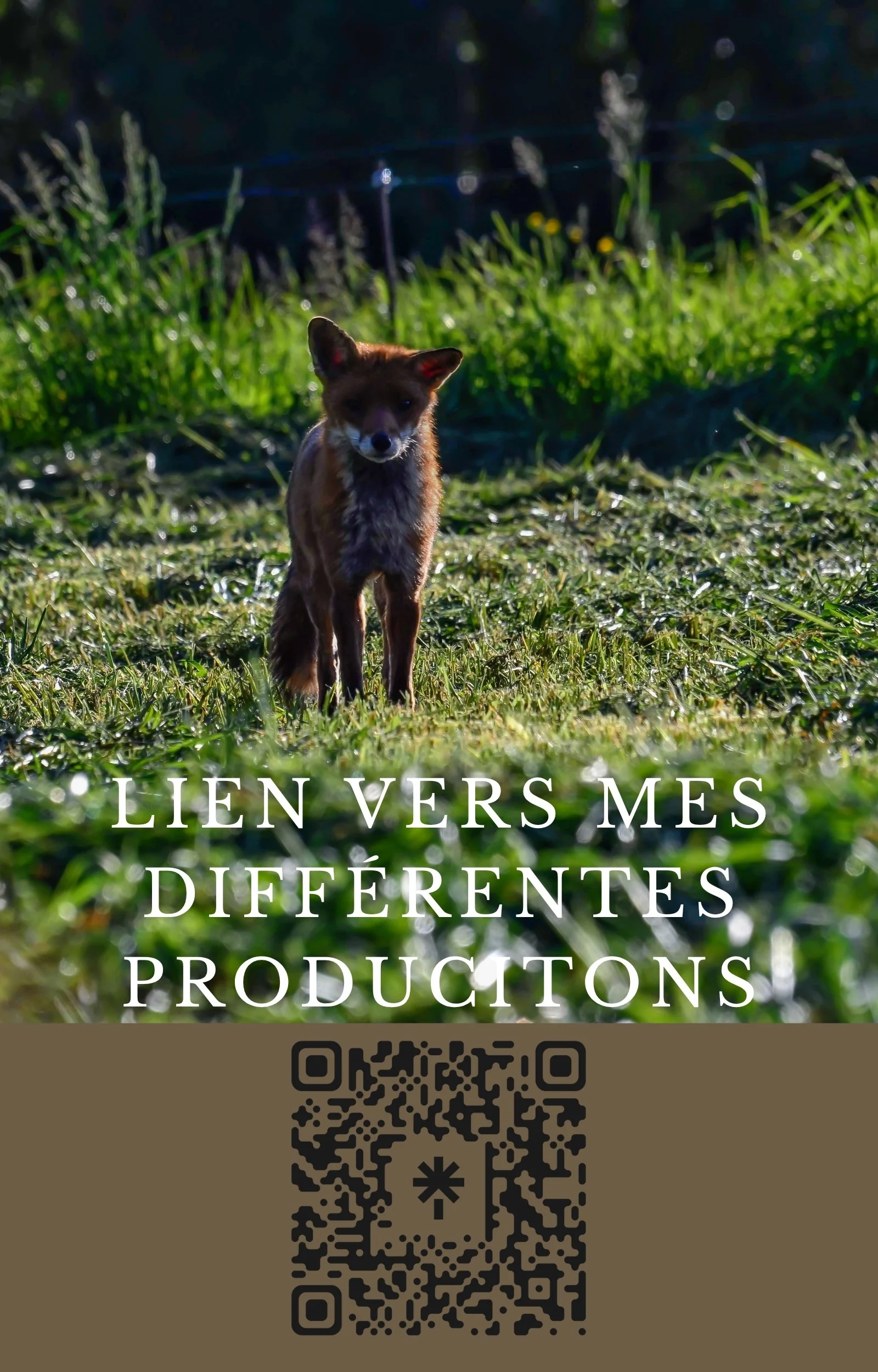 Une image d'un renard brun dans un champ vert avec de l'herbe et des plantes en arrière-plan, accompagnée d'un texte en français disant "Lien vers mes différentes productions" ainsi qu'un code QR en bas.