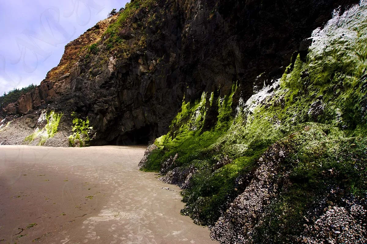 Tillamook-Oregon-Coast-Rocks-Cliffs-Water-watermark-thumbnail-1200.webp