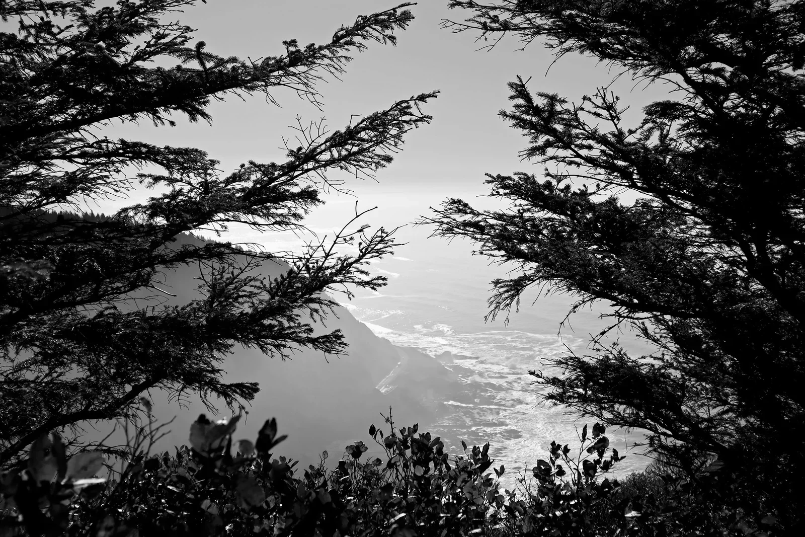Yachats-Oregon-IMG_0033-B-W.webp