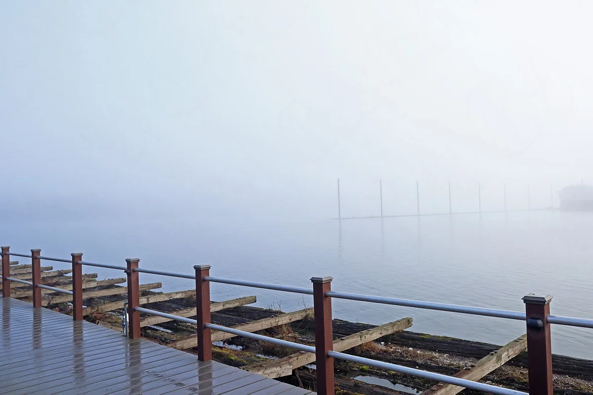Fog-Moorage-watermark-thumbnail-1200.webp
