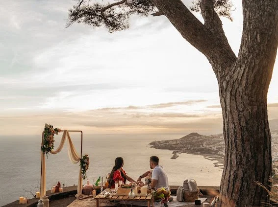 seaview proposal picnic madeira