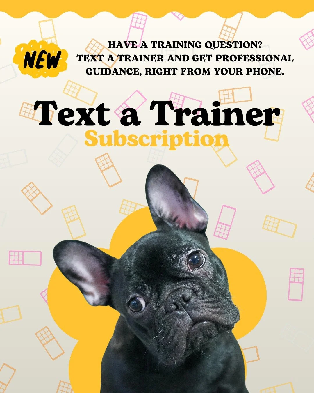 Starting February 2nd, we&rsquo;re introducing Text a Trainer.
Get access to professional training guidance when questions come up&mdash;no appointment needed.
Subscriptions start at $29/month.
Visit our website and head to Consultations for full det