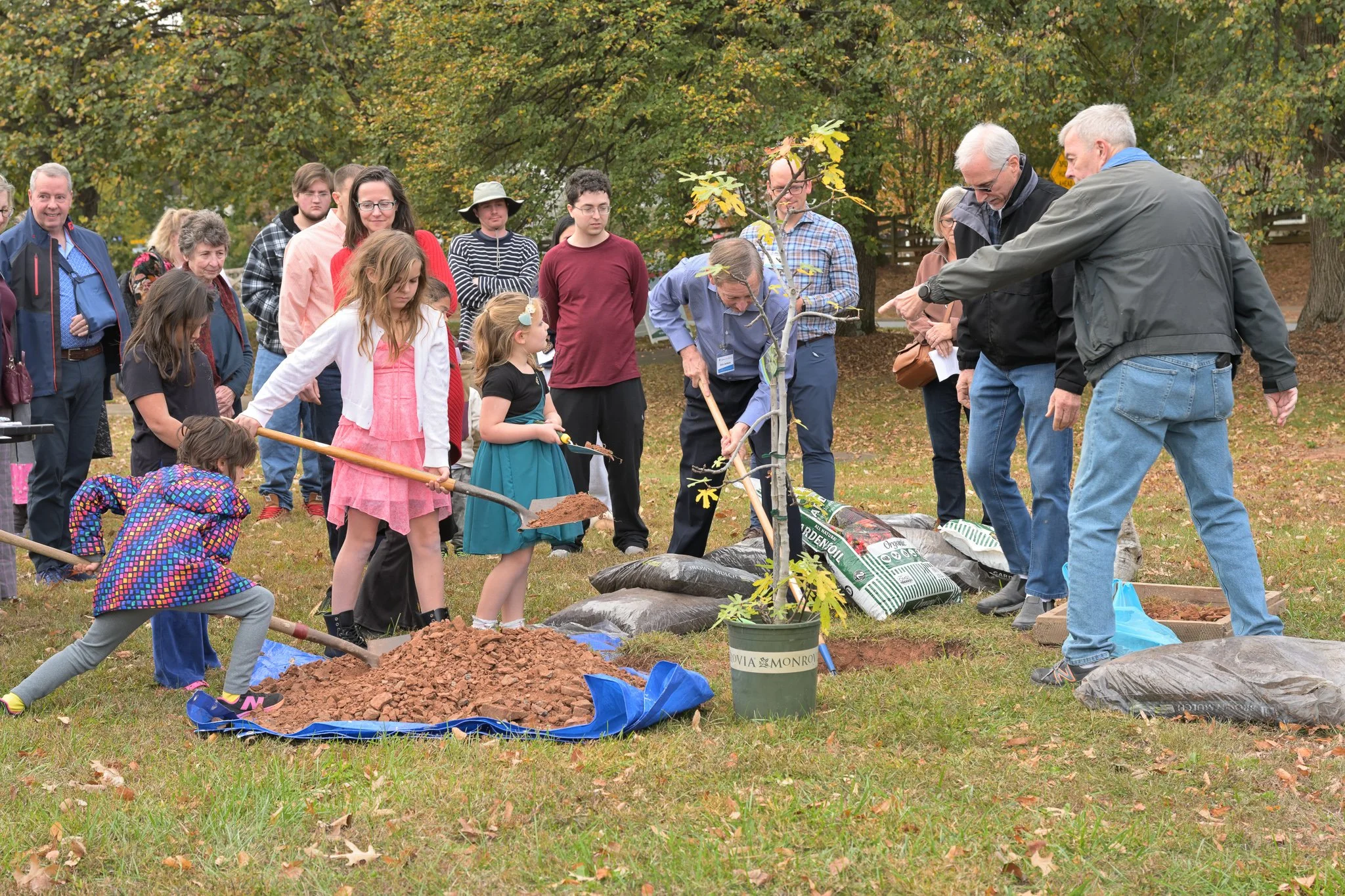 A group of people, including children and adults, participating in planting a small tree outdoors during the fall season, with trees and fallen leaves in the background.