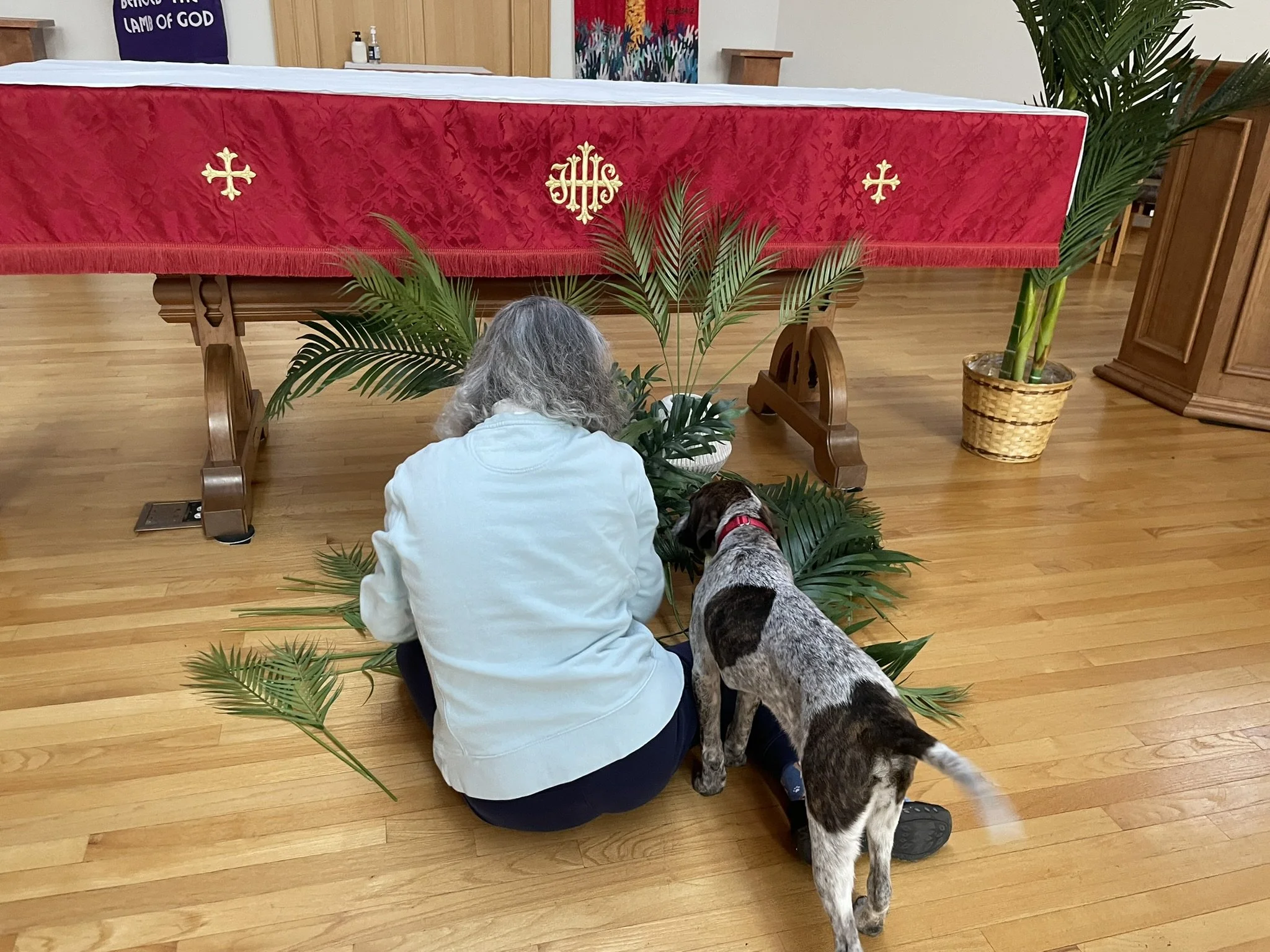 A person with grey hair kneels on the wooden floor, praying or meditating, beside a large dog with a brindle coat. They are in front of an altar covered with a red cloth embroidered with gold symbols, in what appears to be a church or chapel. Green potted plants are placed around them.