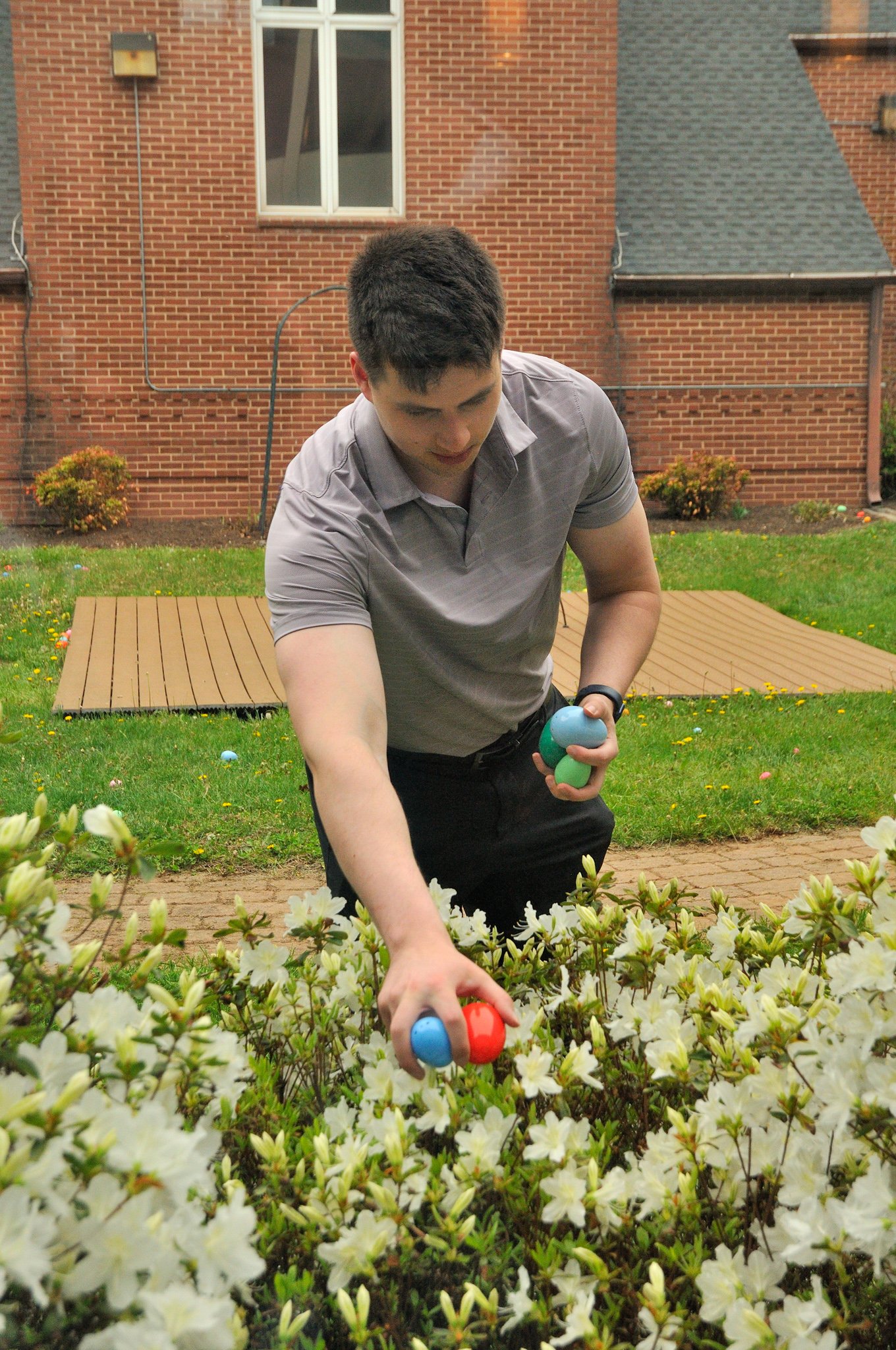 A young man outdoors on a wooden deck, reaching for colorful Easter eggs in white flowering bushes, with a brick house in the background.