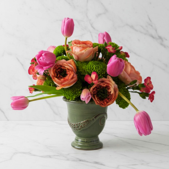 Screenshot 2026-03-20 at 11.33.16 AM.png