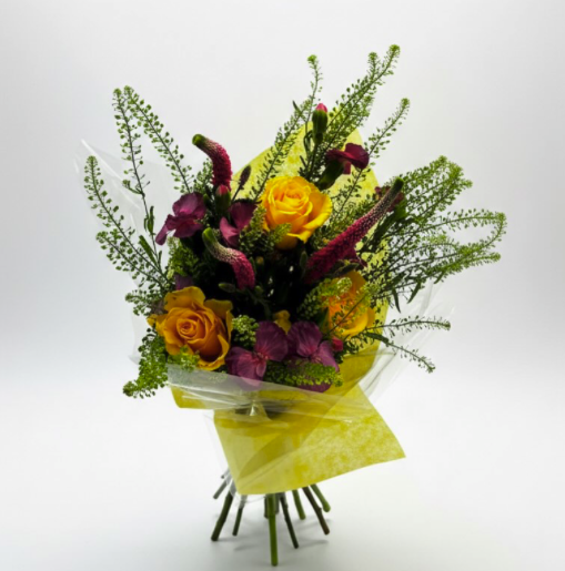 Screenshot 2026-03-20 at 11.33.24 AM.png