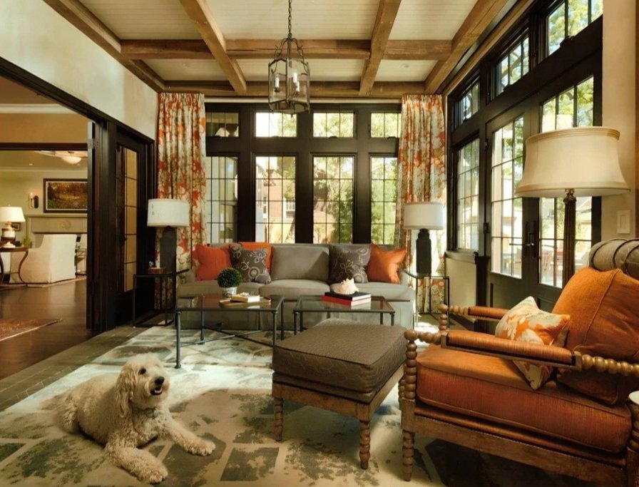 A cozy living room with large windows, a sofa with orange and gray pillows, a patterned armchair, a small dog lying on a patterned rug, and a glass coffee table with books and decorative objects, illuminated by natural light.