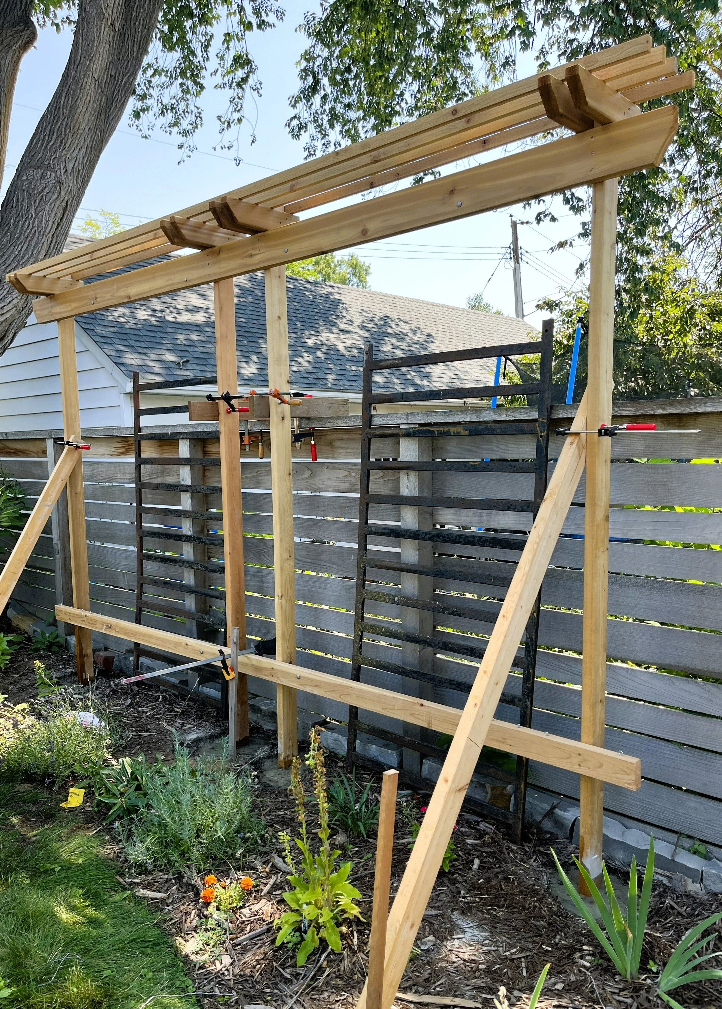Trellis 4.jpg
