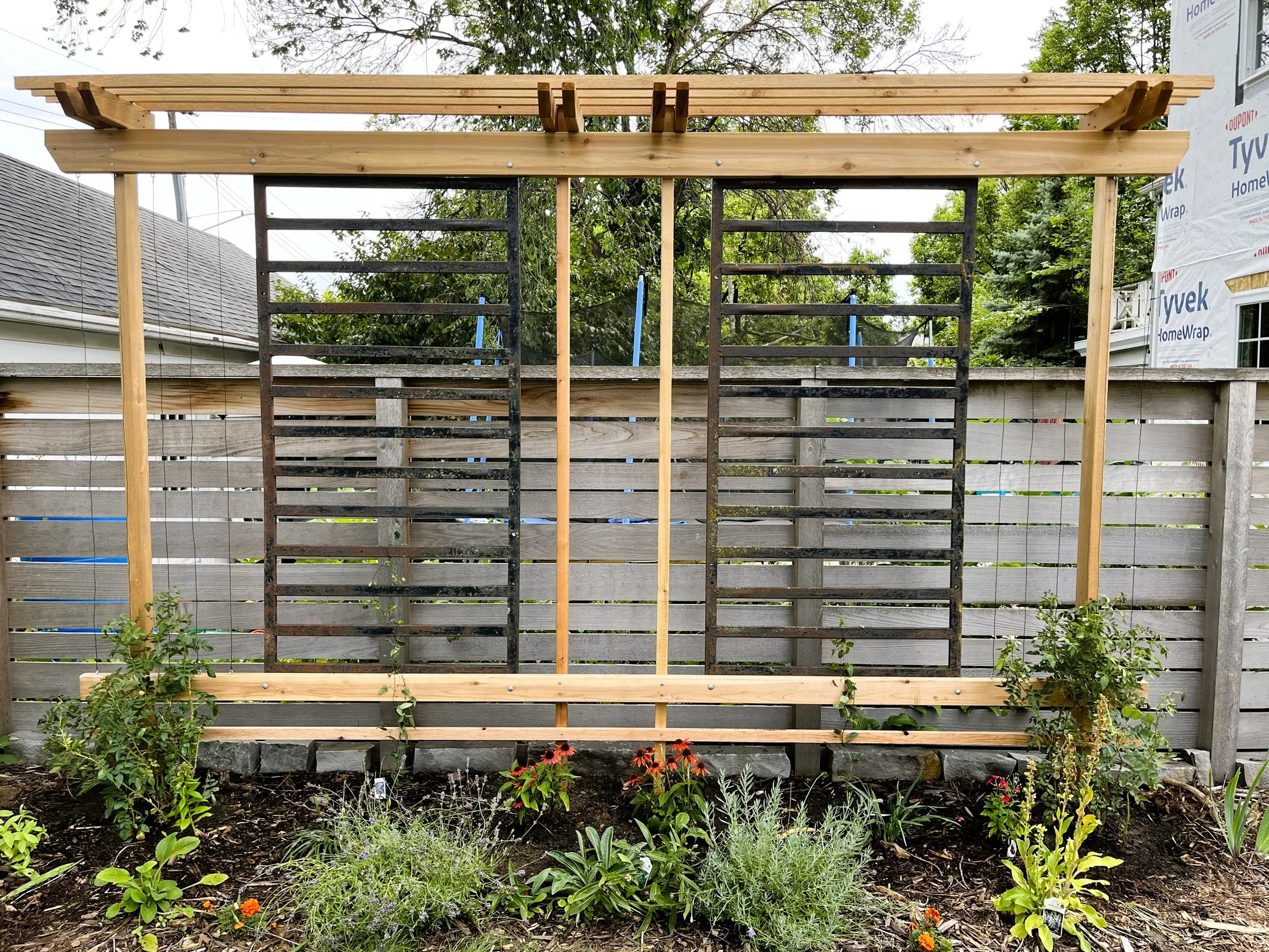 Trellis 2.jpg