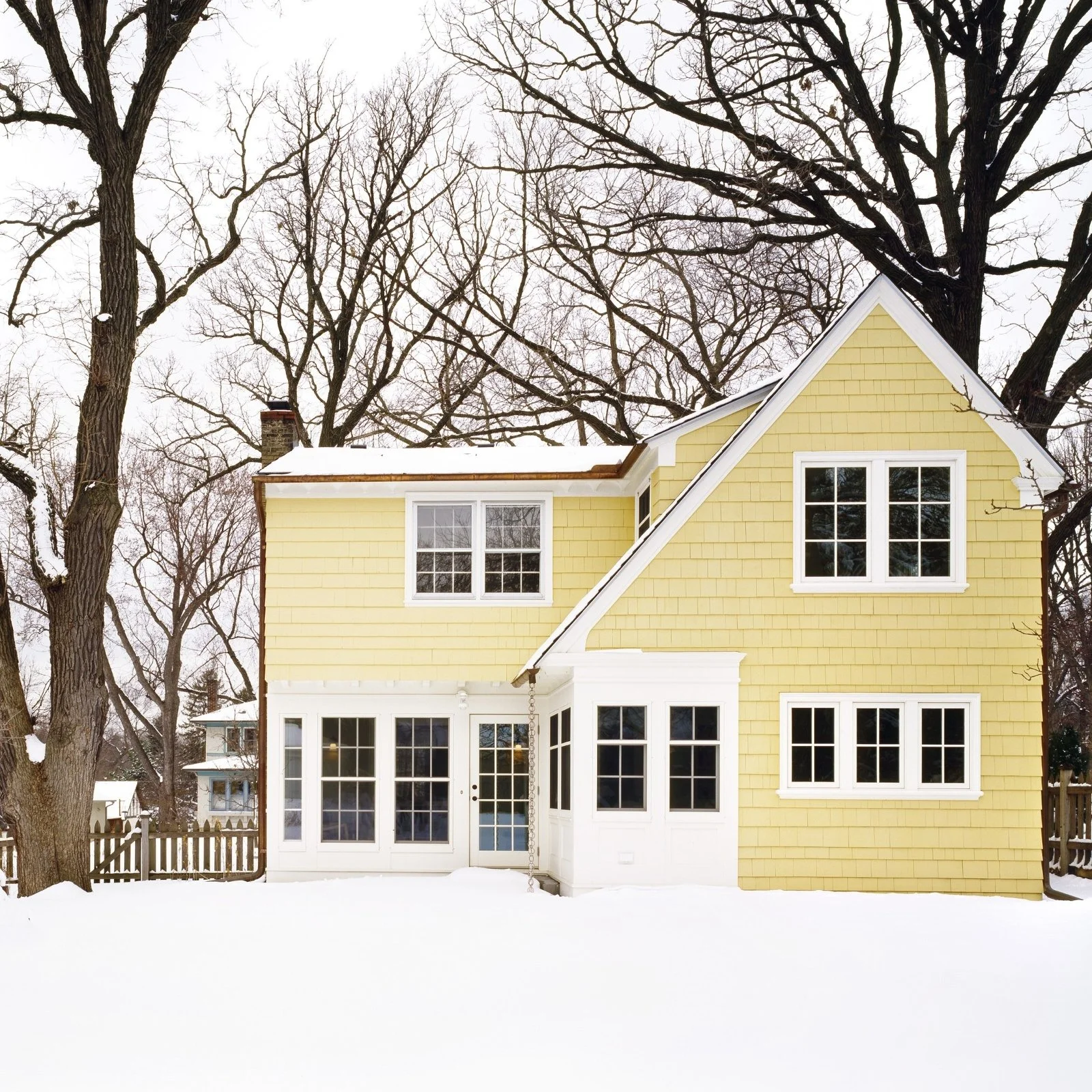 SWEET COLONIAL SUNSHINE