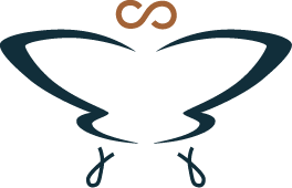 Abstract butterfly logo with symmetrical blue and black shapes.