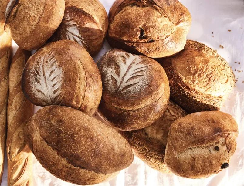 THE LOWDOWN ON OUR SOURDOUGH