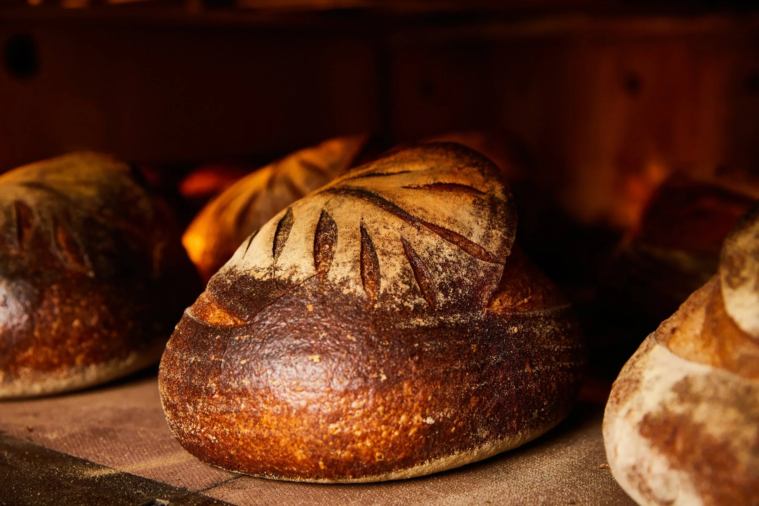 SUNDAY: FIND US AT THE OJAI FARMER’S MARKET