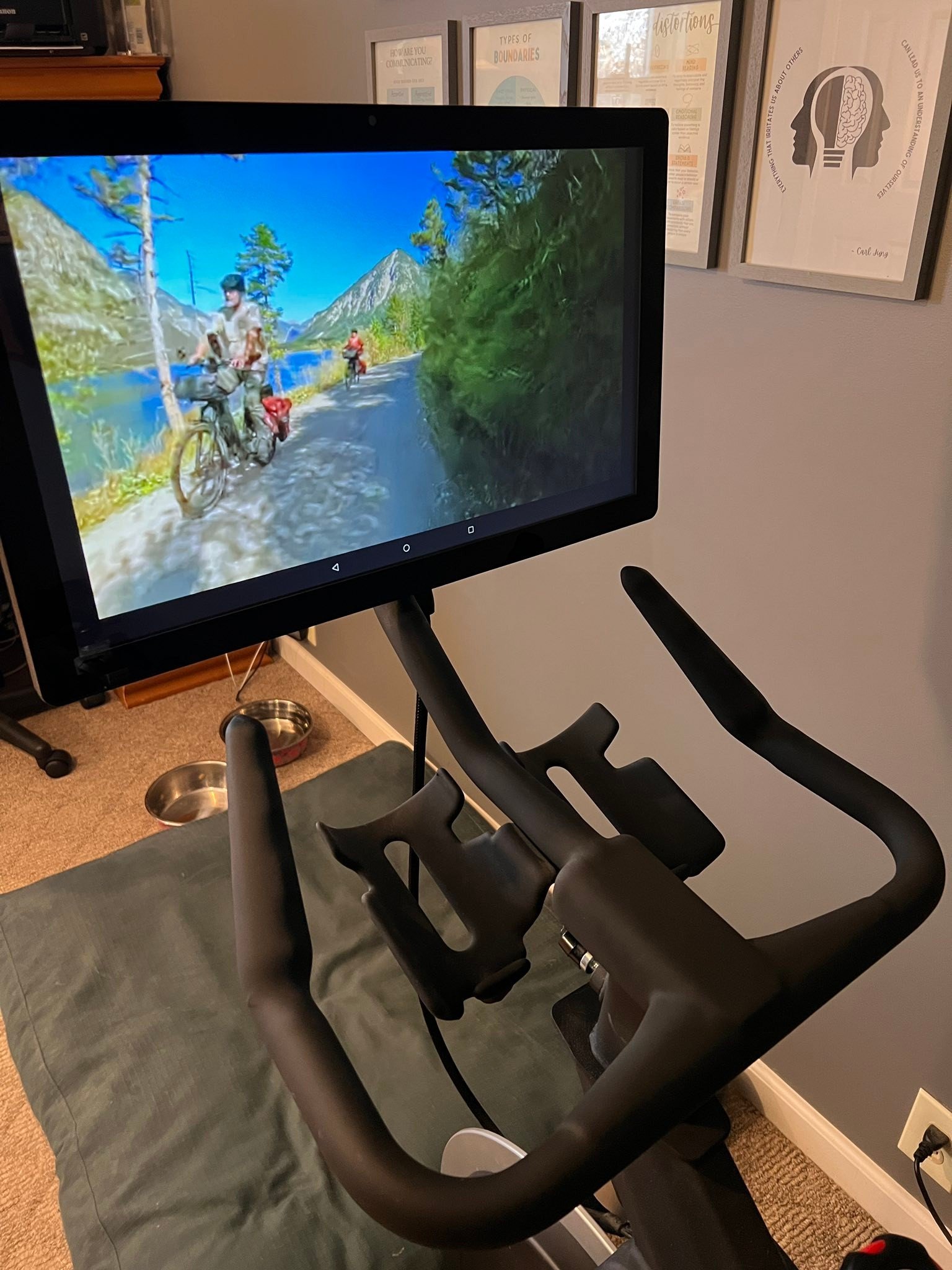 Stryde Bike for sale 🚲

Used very little. Purchased in 2021.
Welded powder-coated steel frame
Magnetic micro-resistance system with 100 resistance levels
SPD pedals with toe cages
Unlocked 21&rdquo; screen (no need to pay for an app, but I did enjoy