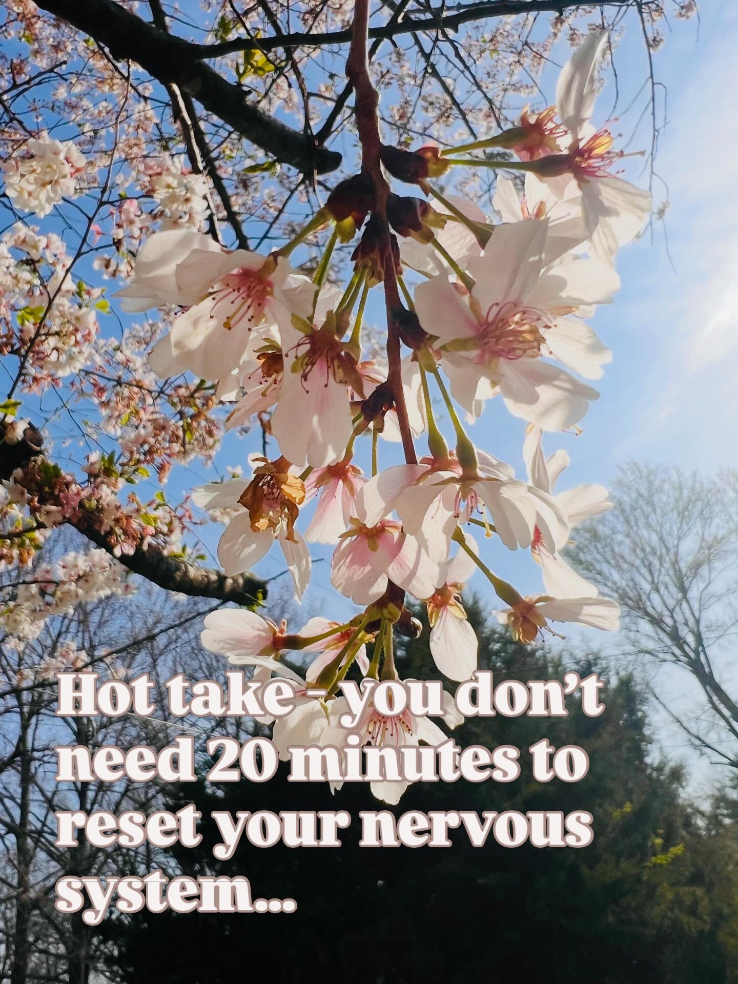 Initially I tried to effort my way to regulation. 💪🏼

It &ldquo;worked&rdquo; for a bit, but my body knew it was still under pressure.

I started these micro moments of regulation which help to alleviate stress and tension THROUGHOUT my day - not j