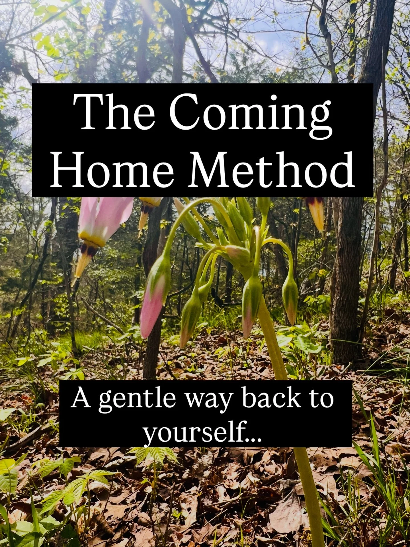 You don&rsquo;t wake up one day completely burned out and disconnected from yourself.

It happens slowly.
Layer by layer.
Over time.

You keep showing up.
Keep pushing through.
Keep telling yourself things will settle down eventually&hellip;

Until o